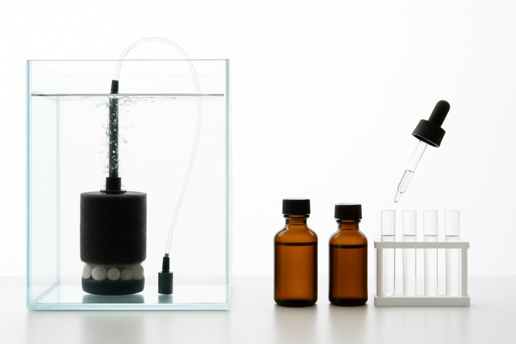 How to Cycle a Fish Tank Faster: The Complete Beginner Guide