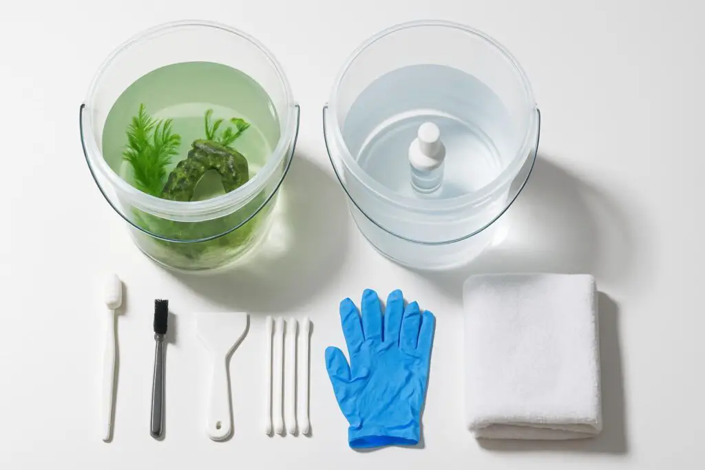 How to Clean Artificial Aquarium Decorations and Plants